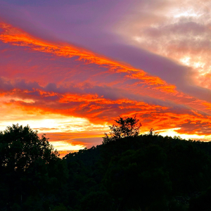 Ganadores del concurso de fotografía